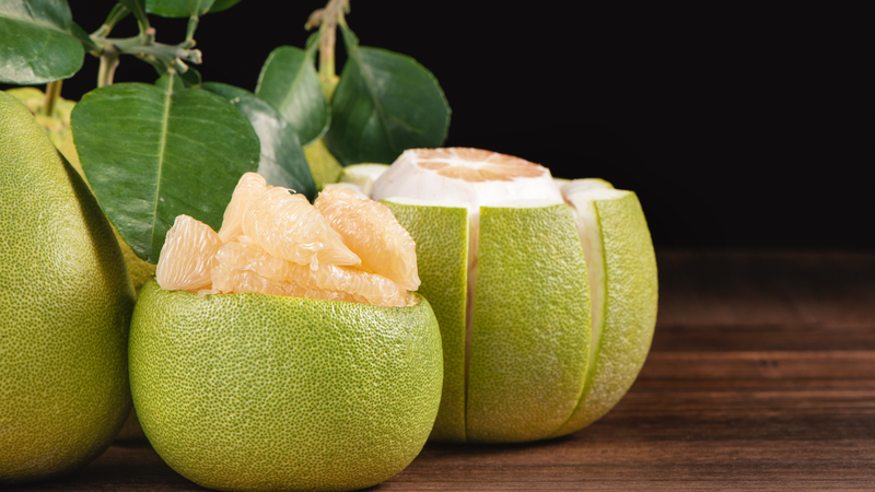 Uống thuốc chống đông có ăn được bưởi không?