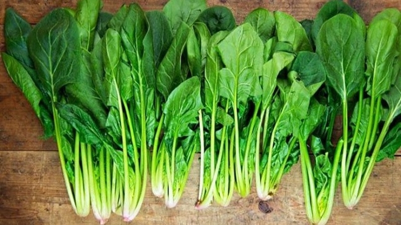 Người bị thiếu máu nên bổ sung những loại thực phẩm nào? 3