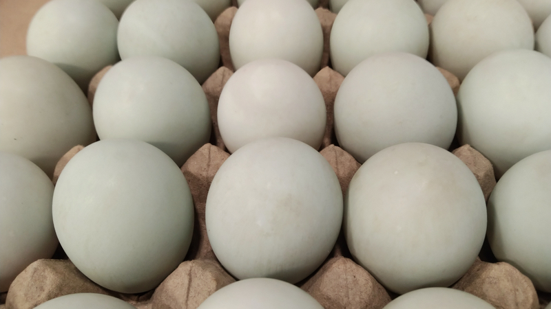 Trứng vịt có GI khoảng 48, thuộc nhóm thấp