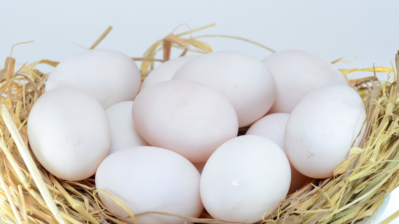 Tiểu đường có ăn được trứng vịt không?