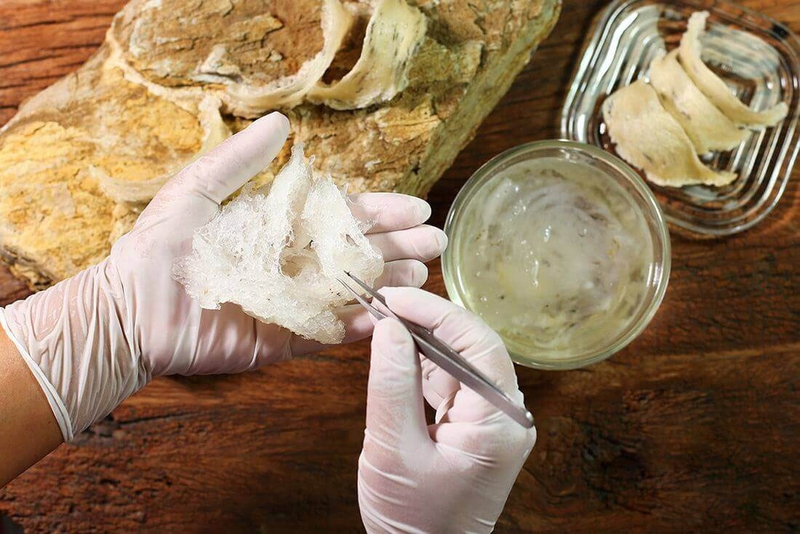 Người bị tiểu đường thai kỳ ăn yến được không? Vì sao? 4