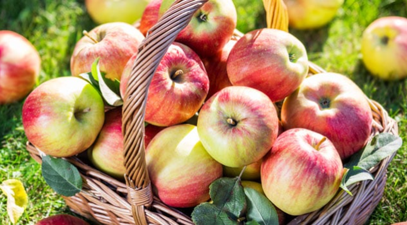 Người bị xơ gan ăn trái cây gì tốt? 3