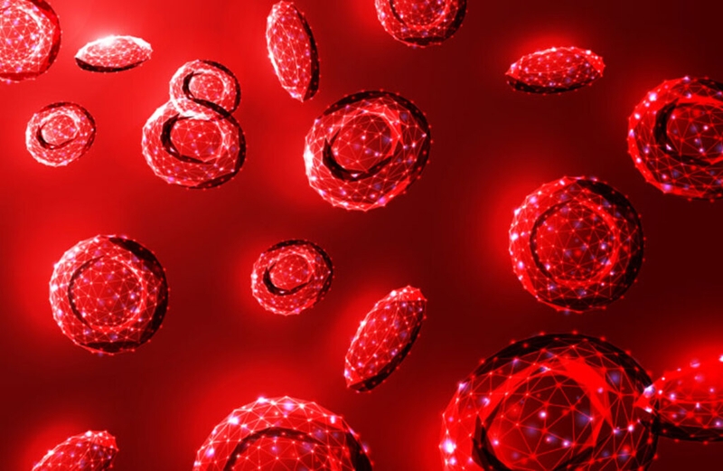 Người mang gen Thalassemia cần lưu ý gì? Mức độ nguy hiểm của căn bệnh Thalassemia 3