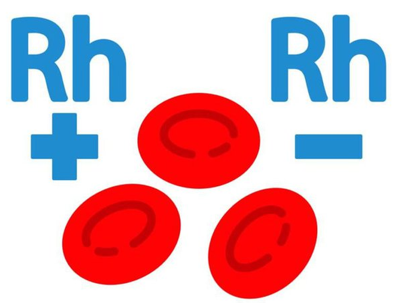 Nhóm máu hiếm chiếm khoảng 1/1.000 người