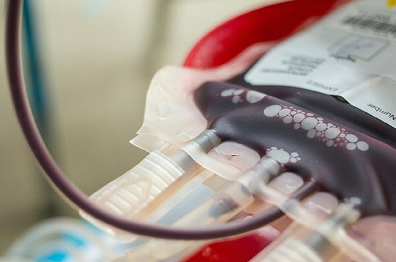 Người mang nhóm máu hiếm nhất thế giới sẽ gặp nguy hiểm gì? 3