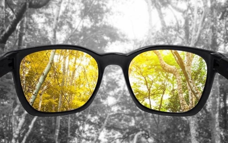 Người mù màu nhìn thấy gì? Cách hỗ trợ người mù màu 4