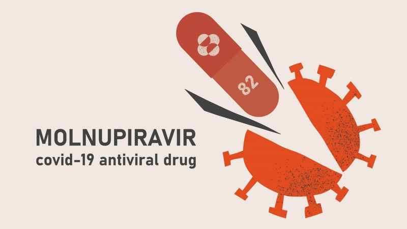 Người nào chống chỉ định uống thuốc molnupiravir?1