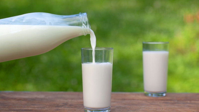 Sữa cung cấp protein, vitamin và khoáng chất giúp bổ sung năng lượng, hỗ trợ phục hồi cơ sau tập luyện