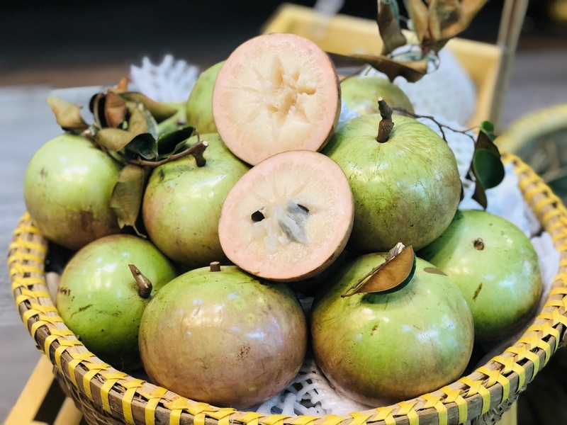 Người tiểu đường có ăn được quả vú sữa không - Bạn đã biết chưa? 1