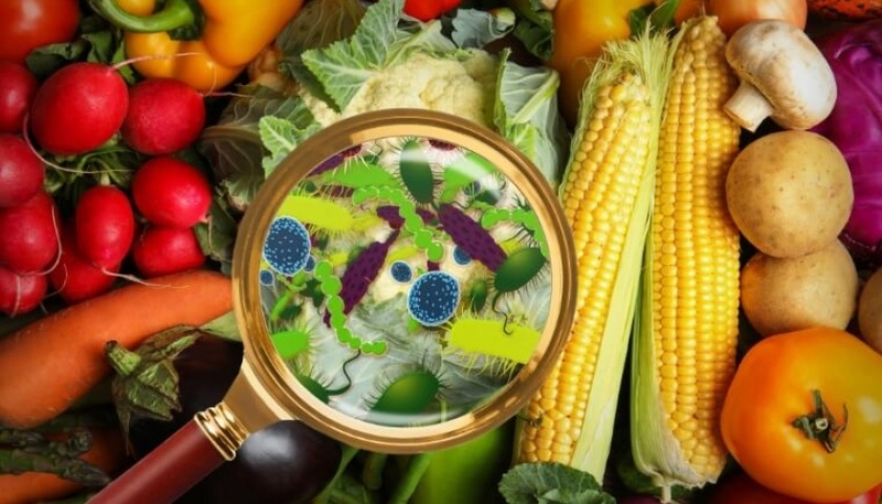 nguon-vi-khuan-gay-ngo-doc-thuc-pham 1.jpg