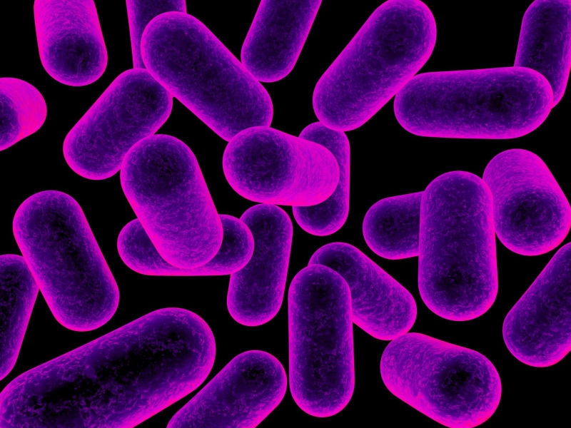 Nguy cơ không ngờ đến từ việc tắm bằng vòi hoa sen 3