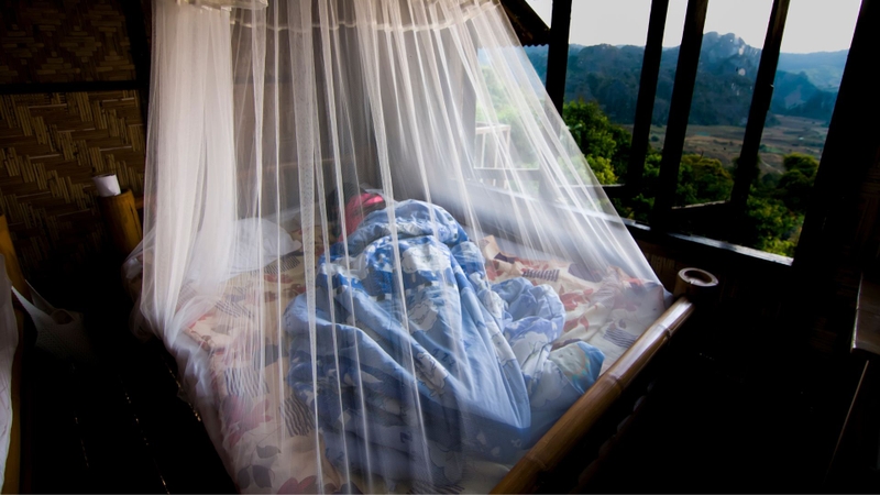 Nguy hiểm từ virus Chikungunya bùng phát khiến WHO phát cảnh báo khẩn cấp 5