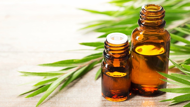 Nguyên nhân bé 18 tháng bị hôi miệng 2