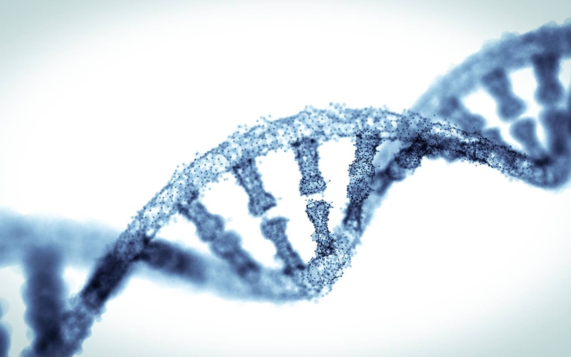 Nguyên nhân bệnh gout và cách nhận biết bệnh 3