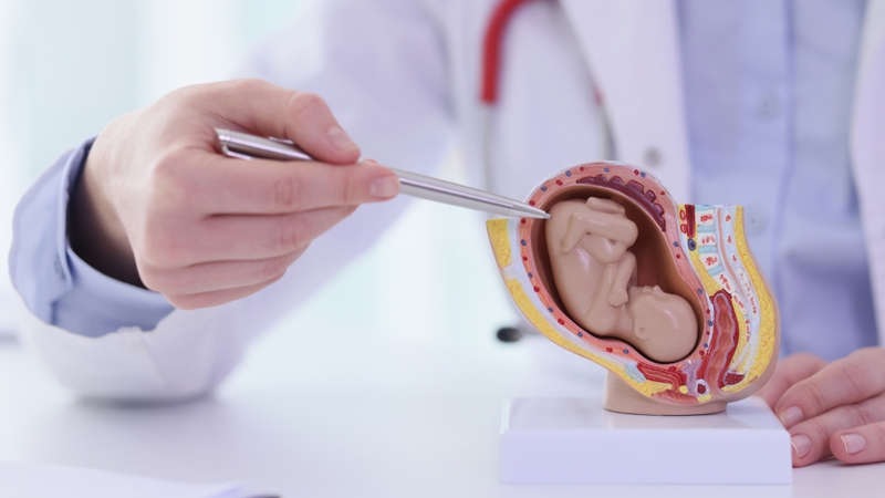 Nguyên nhân bụng căng cứng khi mang thai tháng thứ 5 mẹ bầu cần biết 1