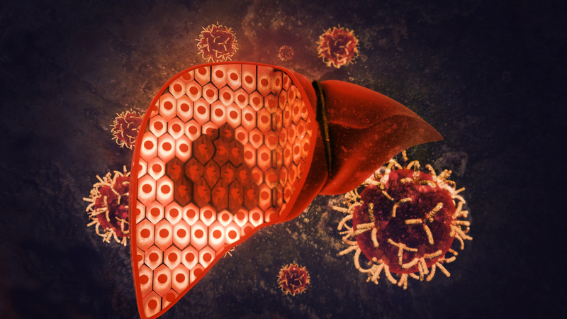 Nguyên nhân cholesterol thấp​ phổ biến hiện nay 3