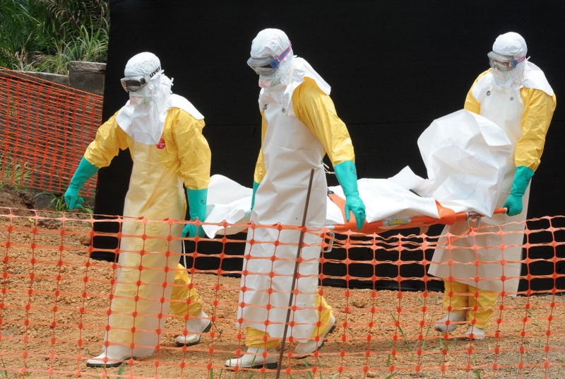 Nguyên nhân dẫn đến bệnh Ebola mà bạn cần biết 2