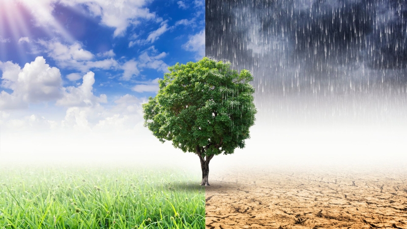 Sự thay đổi từ nóng sang lạnh gây đau đầu do thay đổi thời tiết