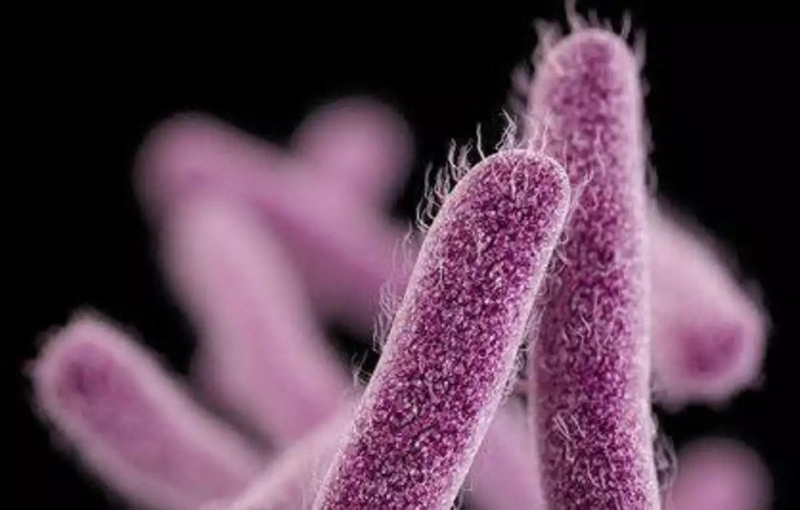 Nguyên nhân đây MSSA là gì? Các loại nhiễm trùng MSSA 1