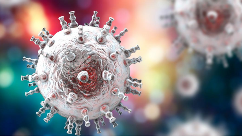 Nguyên nhân gây bệnh viêm não do virus Herpes simplex là gì? Triệu chứng và cách điều trị 1