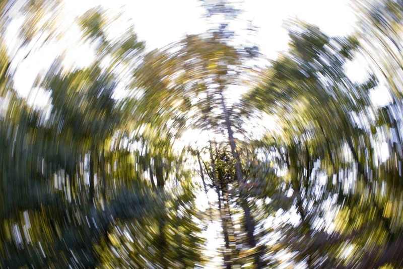 Nguyên nhân gây chóng mặt và cách xử lý 2