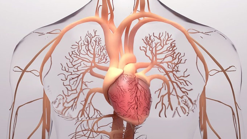 Nguyên nhân gây đau thượng vị bên trái và cách khắc phục 1