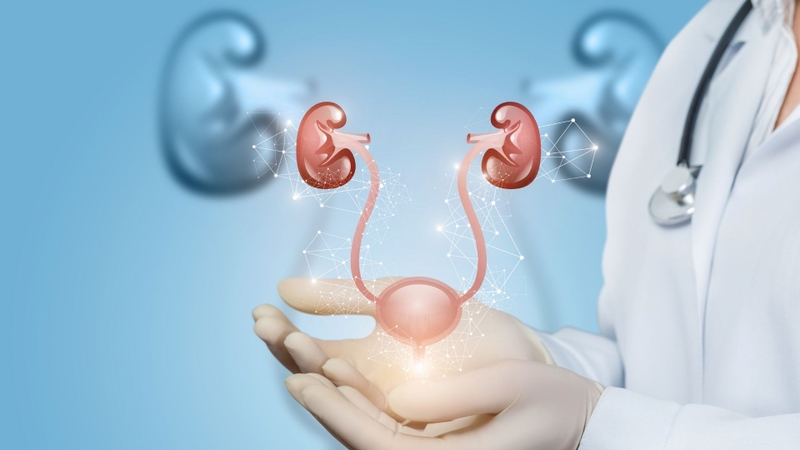 Một số bệnh lý của hệ tiết niệu cũng có thể làm thay đổi thói quen đi tiểu