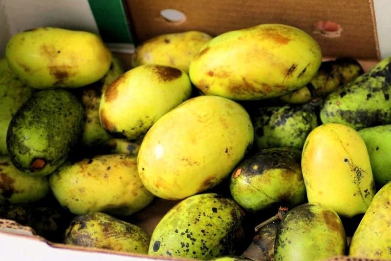 Nguyên nhân gây hư hỏng thực phẩm: Hiểu rõ để bảo quản hiệu quả 3