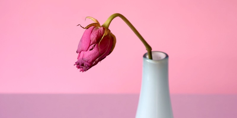 Nguyên nhân gây "khô hạn" mà chị em phụ nữ cần biết 1