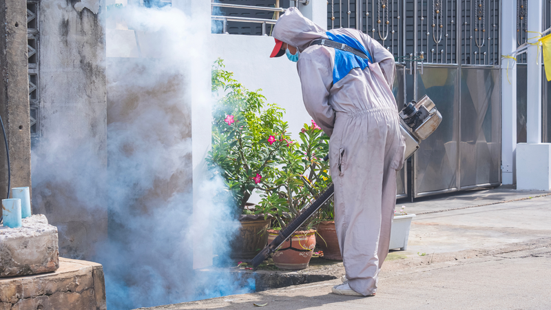 Nên phối hợp với cơ sở y tế để phun thuốc diệt muỗi tại vùng có nguy cơ