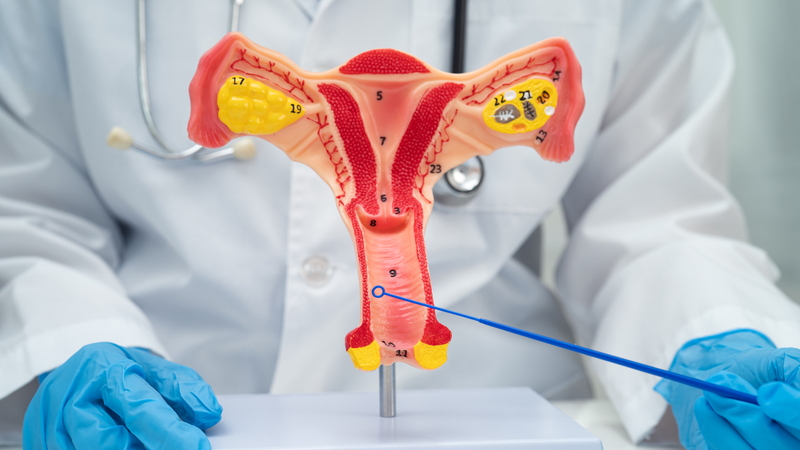 Sa niệu đạo khi niêm mạc niệu đạo bị trồi ra ngoài