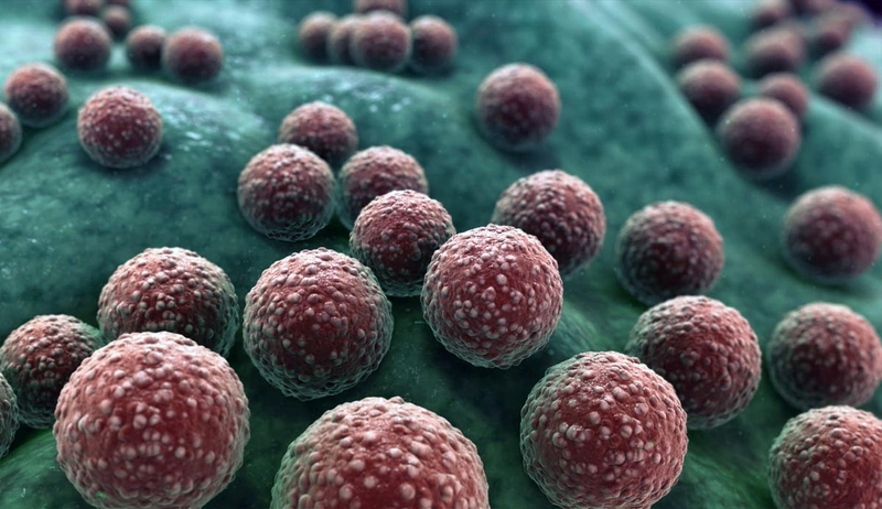 Nguyên nhân gây viêm nang lông vùng lưng1