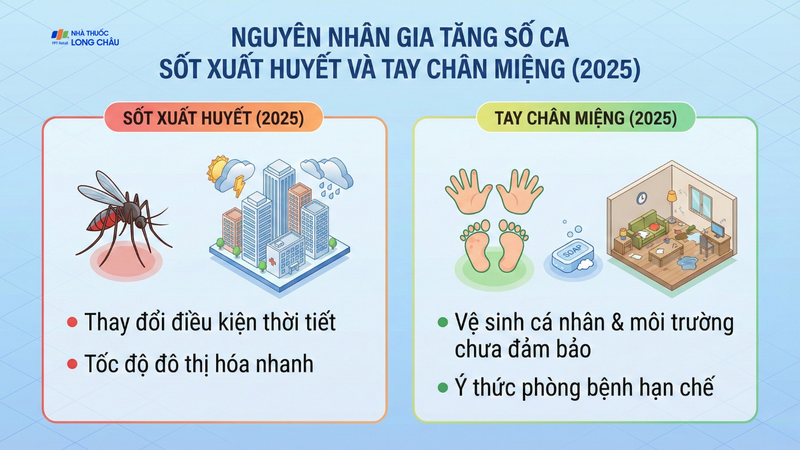Nguyên nhân gia tăng số ca mắc sốt xuất huyết và tay chân miệng