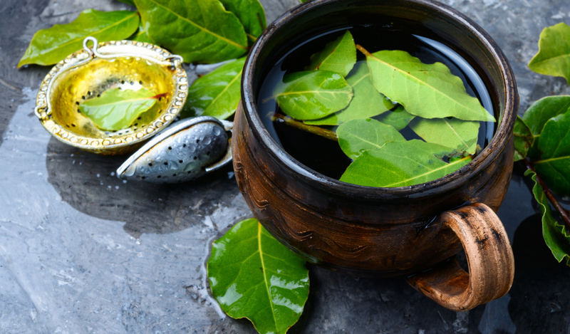 Dùng lá trà xanh chữa hôi miệng sau sinh