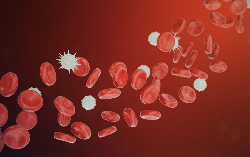 Nguyên nhân khiến bạch cầu tăng cao và cách phòng ngừa 1