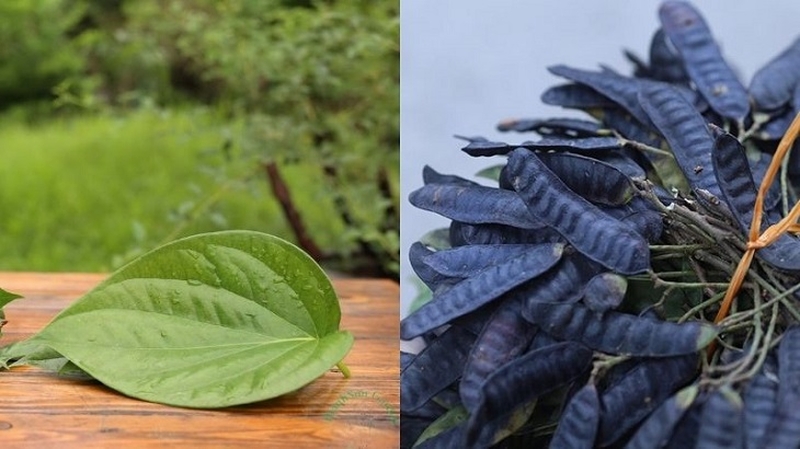 Nguyên nhân khiến hắc lào tái phát nhiều lần. 3 cách hỗ trợ trị hiệu quả hắc lào tái phát 3