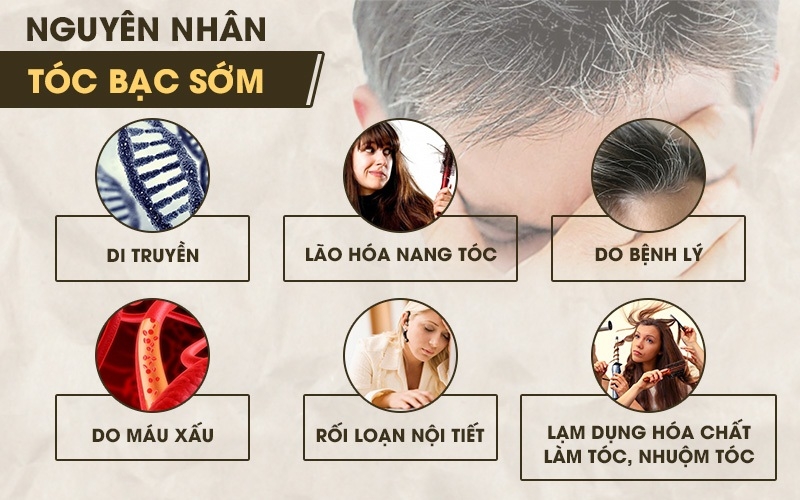 Nguyên nhân khiến tóc bạc sớm và cách chữa trị 1