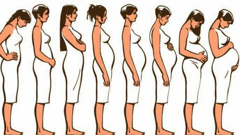 Nguyên nhân mẹ bầu tăng cân nhanh và cách kiểm soát cân nặng hiệu quả 1