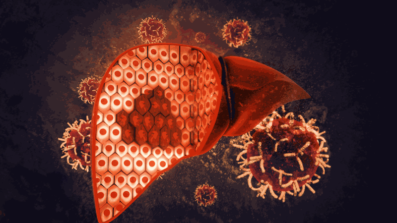 Nguyên nhân men gan cao là gì? Cách ngăn ngừa men gan cao 1