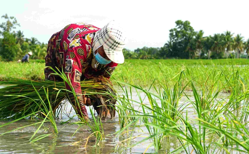 Nguyên nhân nào dẫn đến bàn chân lỗ rỗ?-1