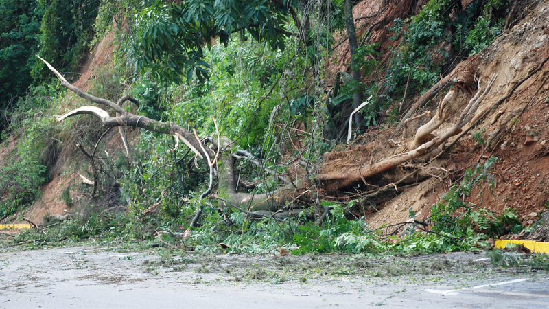Một số hoạt động của con người làm tăng nguy cơ sạt lở đất