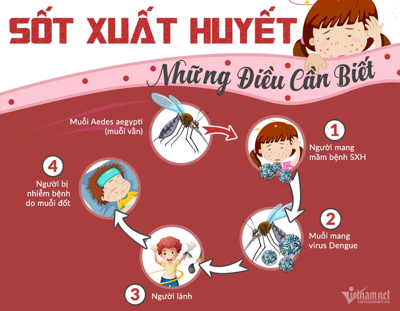 Nguyên nhân, triệu chứng và cách chữa trị sốt xuất huyết cho bé dưới 1 tuổi