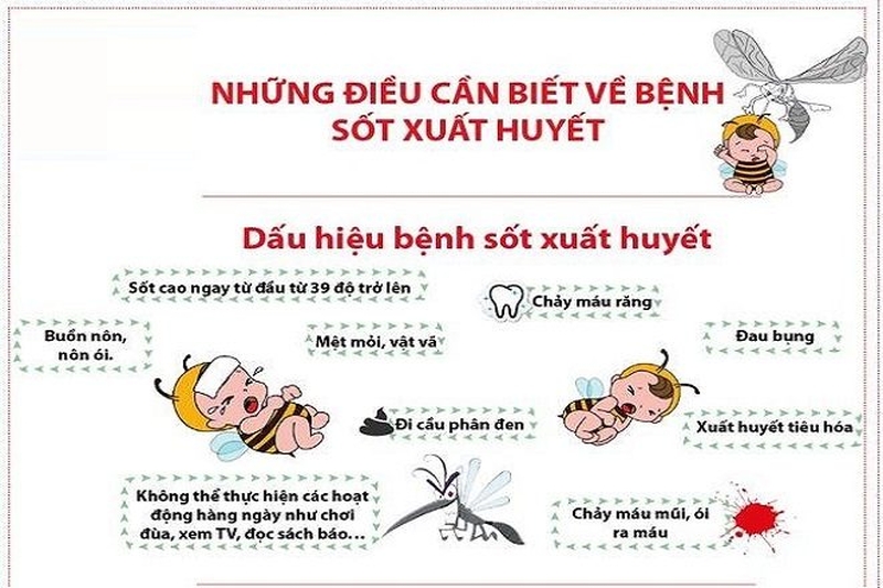 Nguyên nhân, triệu chứng và cách chữa trị sốt xuất huyết cho bé dưới 1 tuổi