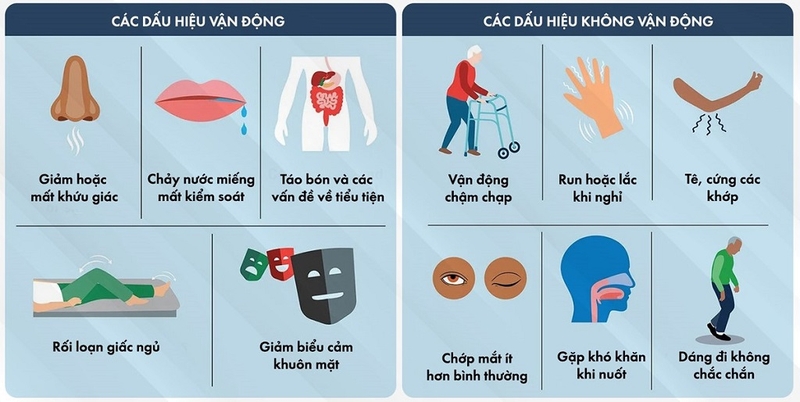 Nguyên nhân và biểu hiện của hội chứng Parkinson thứ phát và không điển hình 3