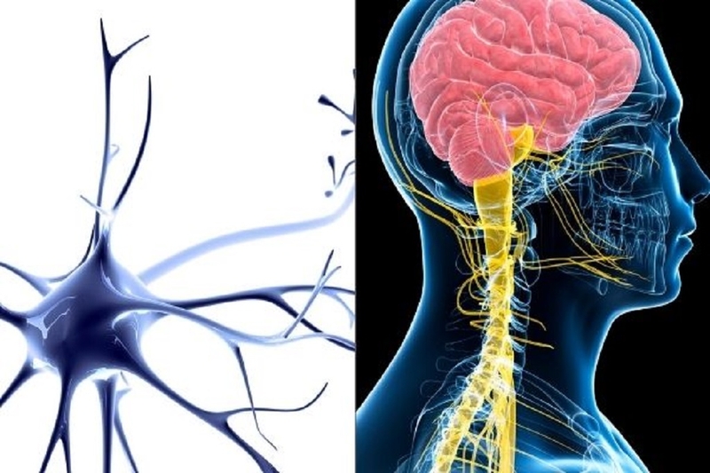 Nguyên nhân và biểu hiện của hội chứng Parkinson thứ phát và không điển hình 4