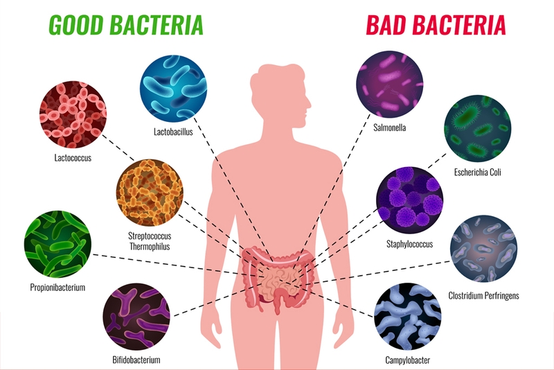 Nguyên nhân và cách điều trị đi ngoài phân sống hiệu quả 1