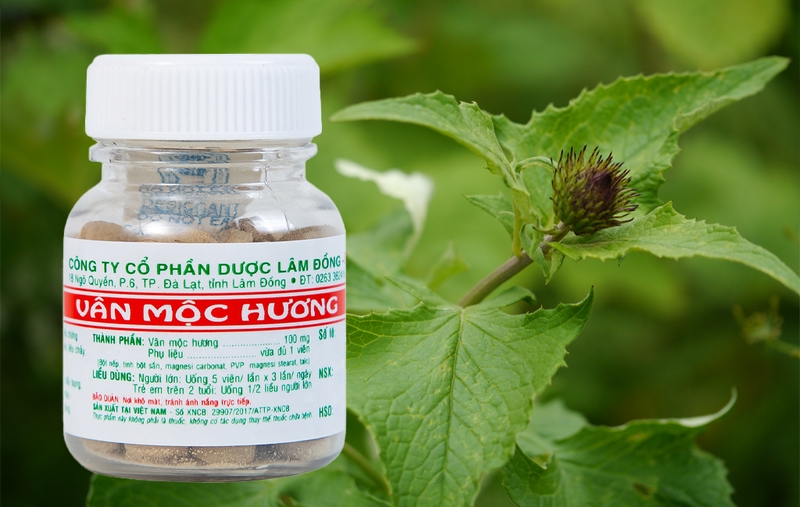 Nguyên nhân và cách điều trị đi ngoài phân sống hiệu quả 4