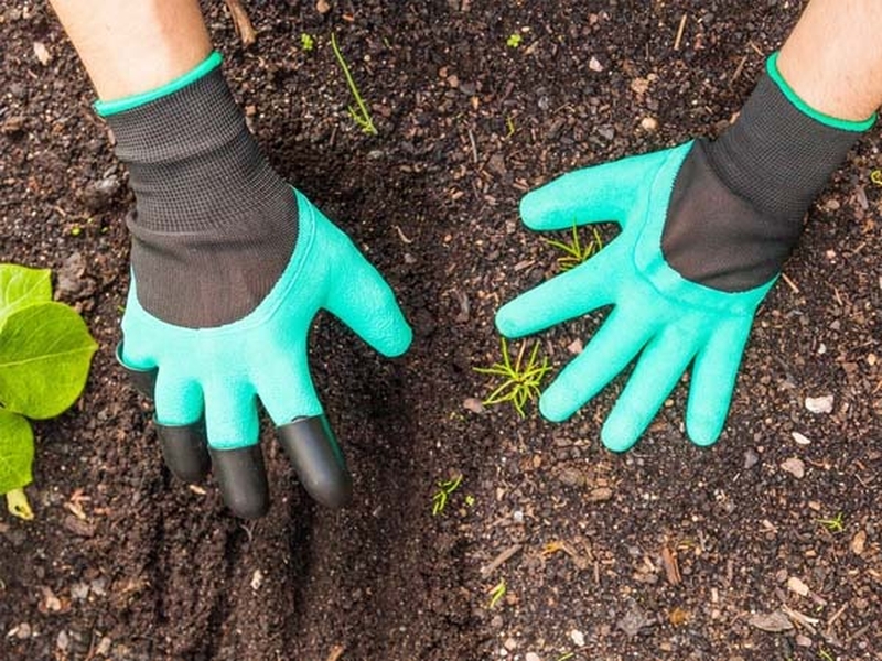 Nguyên nhân và cách phòng tránh bệnh Whitmore