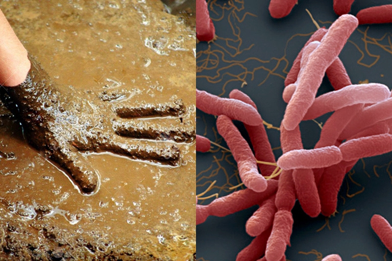 Nguyên nhân và cách phòng tránh bệnh Whitmore