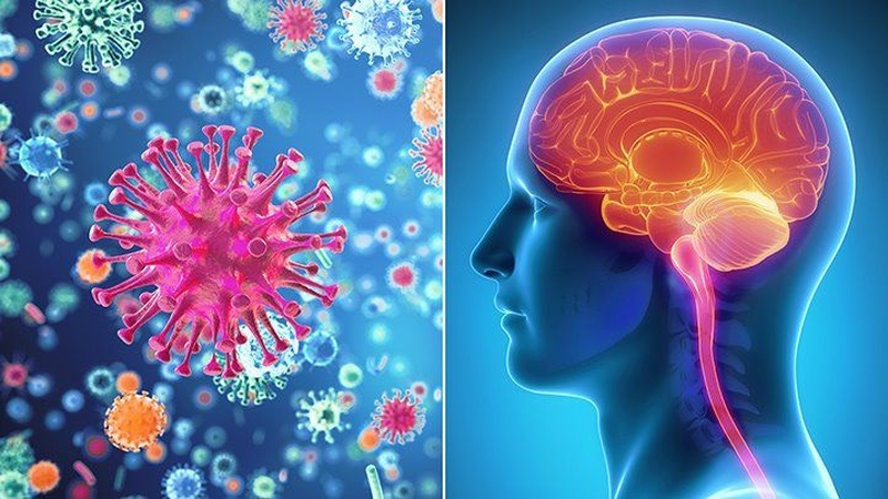 Bệnh viêm màng não mủ lây qua đường nào?